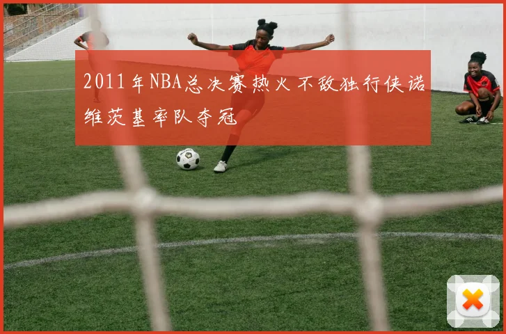2011年NBA总决赛热火不敌独行侠诺维茨基率队夺冠