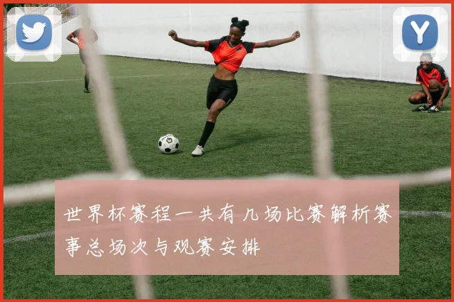 世界杯赛程一共有几场比赛解析赛事总场次与观赛安排