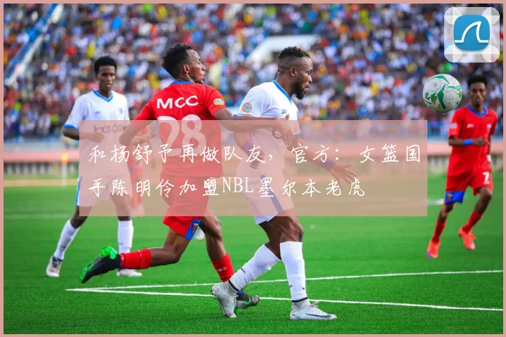 和杨舒予再做队友，官方：女篮国手陈明伶加盟NBL墨尔本老虎