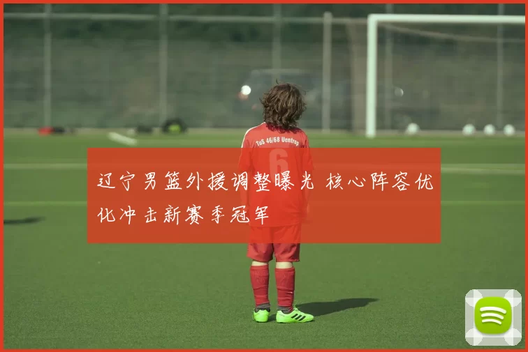 辽宁男篮外援调整曝光 核心阵容优化冲击新赛季冠军